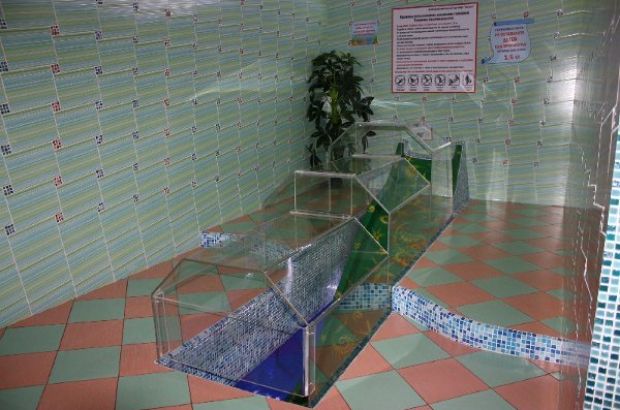Сауна "Акула" (Новосибирск) - отзывы посетителей и рейтинги в каталоге саун Zauna.ru